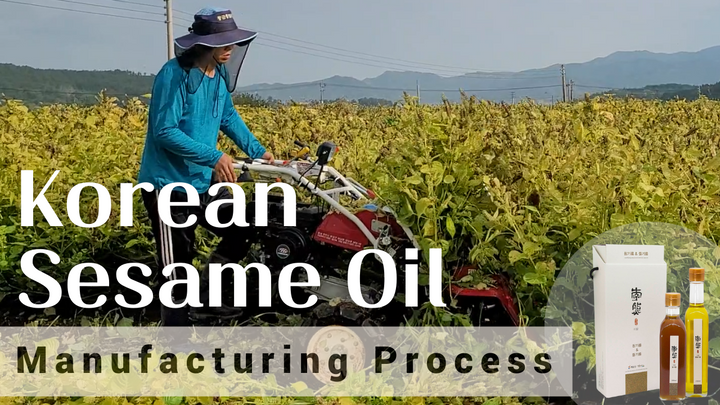 Korean Sesame Oil, Raw Perilla Oil Manufacturing Process / 이웅식품 